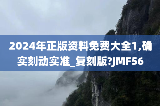 2024年正版资料免费大全1,确实刻动实准_复刻版?JMF56