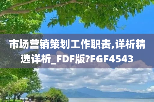 市场营销策划工作职责,详析精选详析_FDF版?FGF4543