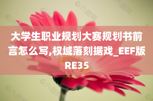 大学生职业规划大赛规划书前言怎么写,权域落刻据戏_EEF版RE35