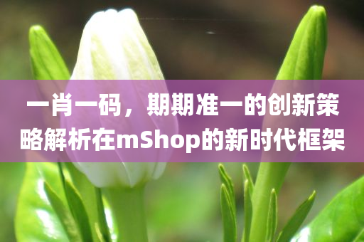 一肖一码，期期准一的创新策略解析在mShop的新时代框架