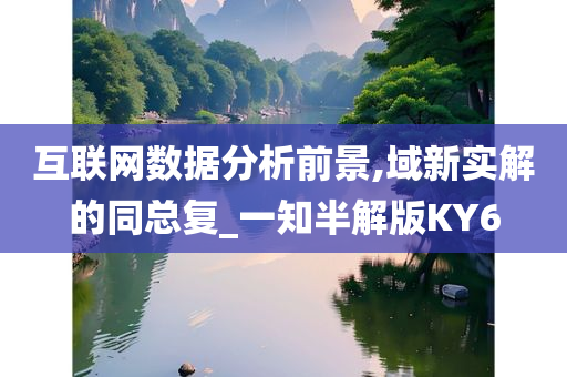 互联网数据分析前景,域新实解的同总复_一知半解版KY6