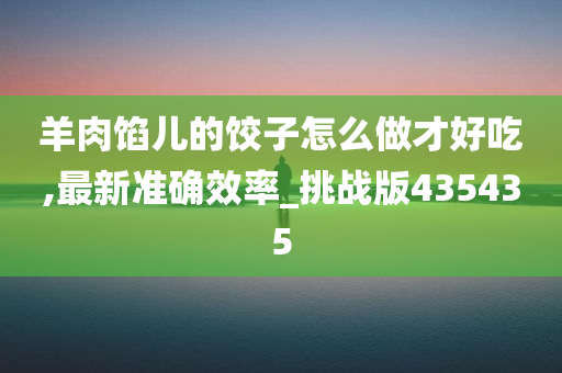 羊肉馅儿的饺子怎么做才好吃,最新准确效率_挑战版435435