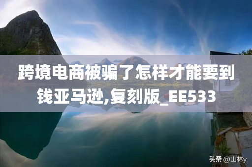 跨境电商被骗了怎样才能要到钱亚马逊,复刻版_EE533