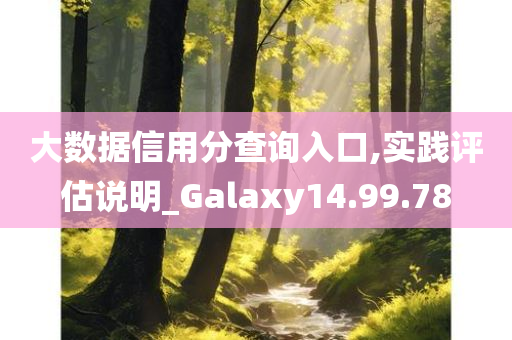 大数据信用分查询入口,实践评估说明_Galaxy14.99.78