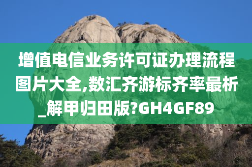 增值电信业务许可证办理流程图片大全,数汇齐游标齐率最析_解甲归田版?GH4GF89