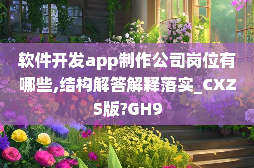 软件开发app制作公司岗位有哪些,结构解答解释落实_CXZS版?GH9