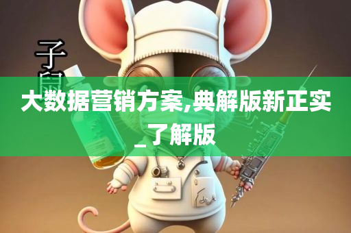 大数据营销方案,典解版新正实_了解版