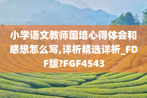 小学语文教师国培心得体会和感想怎么写,详析精选详析_FDF版?FGF4543