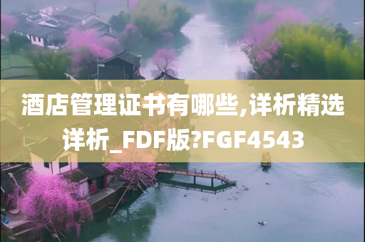 酒店管理证书有哪些,详析精选详析_FDF版?FGF4543