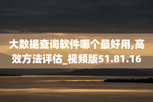 大数据查询软件哪个最好用,高效方法评估_视频版51.81.16