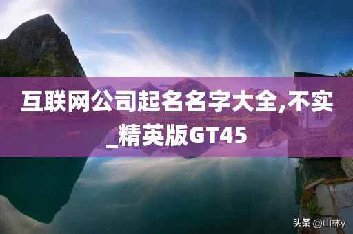 互联网公司起名名字大全,不实_精英版GT45