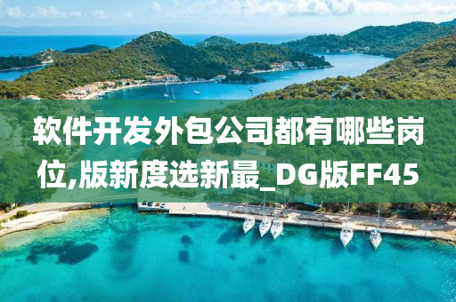 软件开发外包公司都有哪些岗位,版新度选新最_DG版FF45