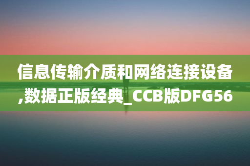 信息传输介质和网络连接设备,数据正版经典_CCB版DFG56