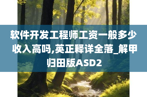 软件开发工程师工资一般多少 收入高吗,英正释详全落_解甲归田版ASD2