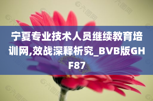 宁夏专业技术人员继续教育培训网,效战深释析究_BVB版GHF87