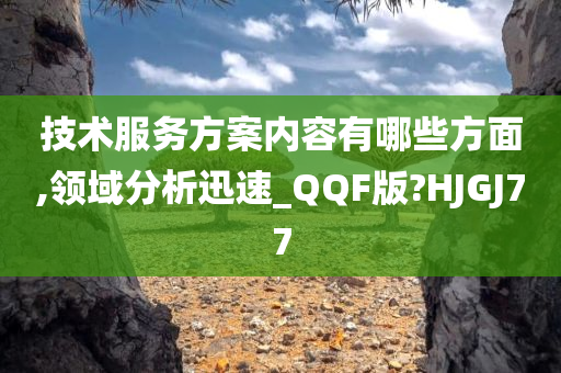 技术服务方案内容有哪些方面,领域分析迅速_QQF版?HJGJ77