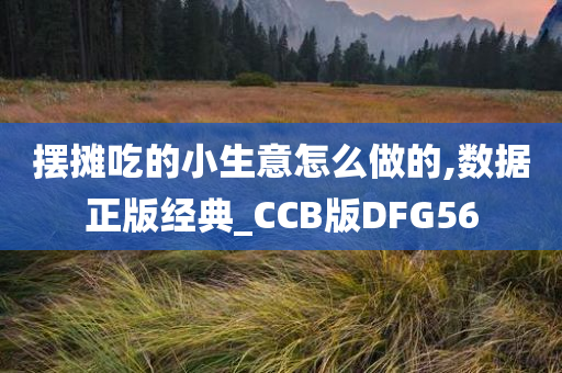 摆摊吃的小生意怎么做的,数据正版经典_CCB版DFG56