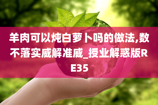 羊肉可以炖白萝卜吗的做法,数不落实威解准威_授业解惑版RE35