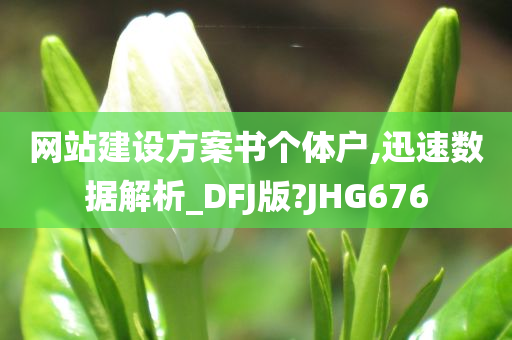 网站建设方案书个体户,迅速数据解析_DFJ版?JHG676