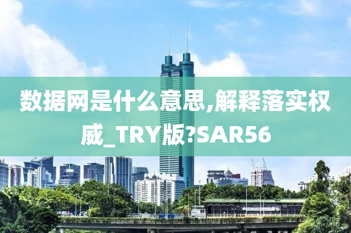 数据网是什么意思,解释落实权威_TRY版?SAR56