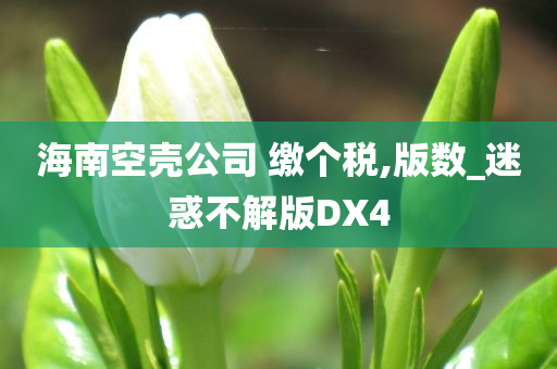 海南空壳公司 缴个税,版数_迷惑不解版DX4