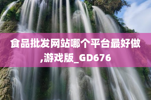 食品批发网站哪个平台最好做,游戏版_GD676