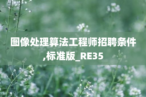 图像处理算法工程师招聘条件,标准版_RE35