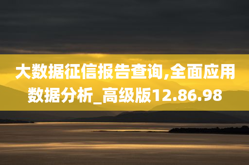 大数据征信报告查询,全面应用数据分析_高级版12.86.98