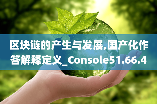 区块链的产生与发展,国产化作答解释定义_Console51.66.40