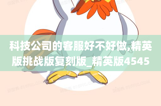 科技公司的客服好不好做,精英版挑战版复刻版_精英版4545