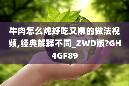 牛肉怎么炖好吃又嫩的做法视频,经典解释不同_ZWD版?GH4GF89