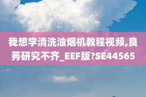 我想学清洗油烟机教程视频,良莠研究不齐_EEF版?SE44565