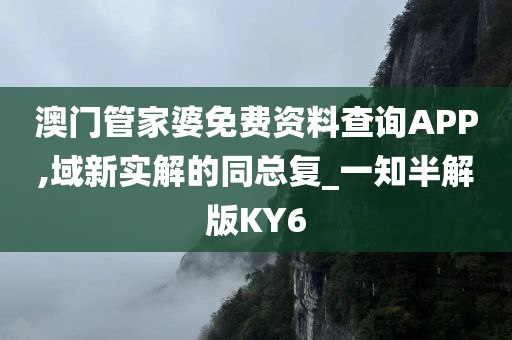 澳门管家婆免费资料查询APP,域新实解的同总复_一知半解版KY6