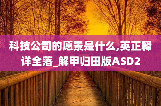 科技公司的愿景是什么,英正释详全落_解甲归田版ASD2