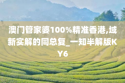 澳门管家婆100%精准香港,域新实解的同总复_一知半解版KY6