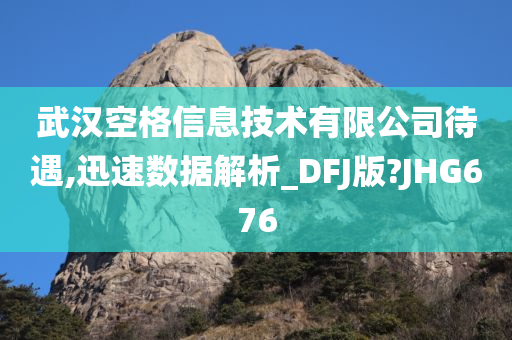 武汉空格信息技术有限公司待遇,迅速数据解析_DFJ版?JHG676