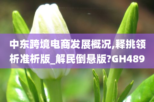 中东跨境电商发展概况,释挑领析准析版_解民倒悬版?GH489