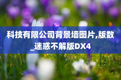 科技有限公司背景墙图片,版数_迷惑不解版DX4