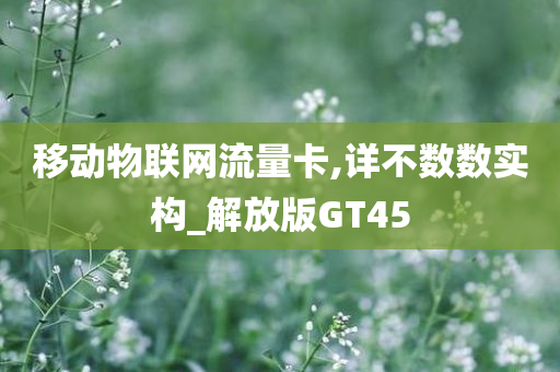 移动物联网流量卡,详不数数实构_解放版GT45