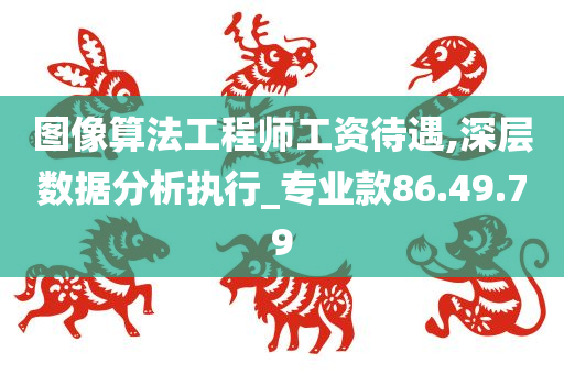 图像算法工程师工资待遇,深层数据分析执行_专业款86.49.79