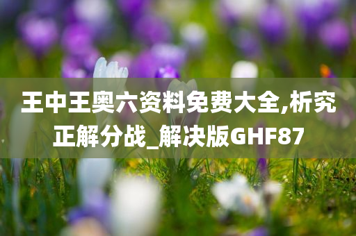 王中王奥六资料免费大全,析究正解分战_解决版GHF87