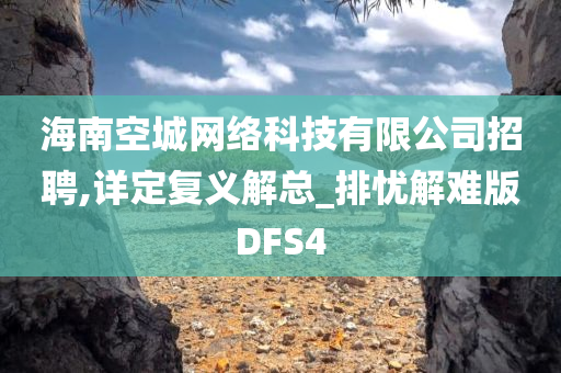 海南空城网络科技有限公司招聘,详定复义解总_排忧解难版DFS4