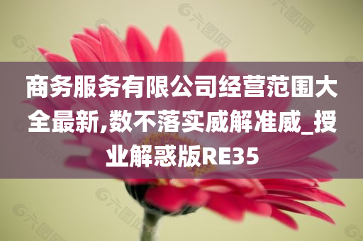 商务服务有限公司经营范围大全最新,数不落实威解准威_授业解惑版RE35