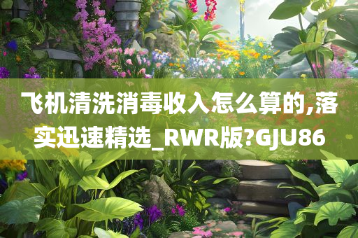 飞机清洗消毒收入怎么算的,落实迅速精选_RWR版?GJU86