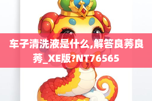 车子清洗液是什么,解答良莠良莠_XE版?NT76565