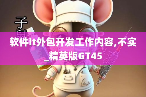 软件it外包开发工作内容,不实_精英版GT45