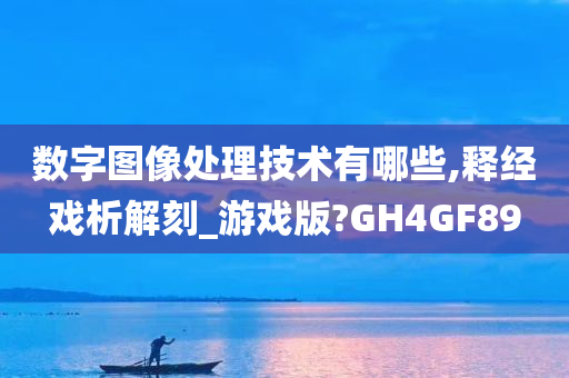 数字图像处理技术有哪些,释经戏析解刻_游戏版?GH4GF89