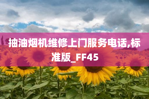 抽油烟机维修上门服务电话,标准版_FF45