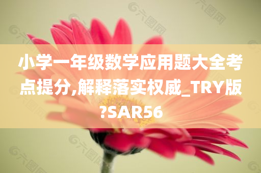 小学一年级数学应用题大全考点提分,解释落实权威_TRY版?SAR56