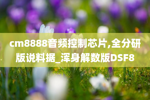 cm8888音频控制芯片,全分研版说料据_浑身解数版DSF8